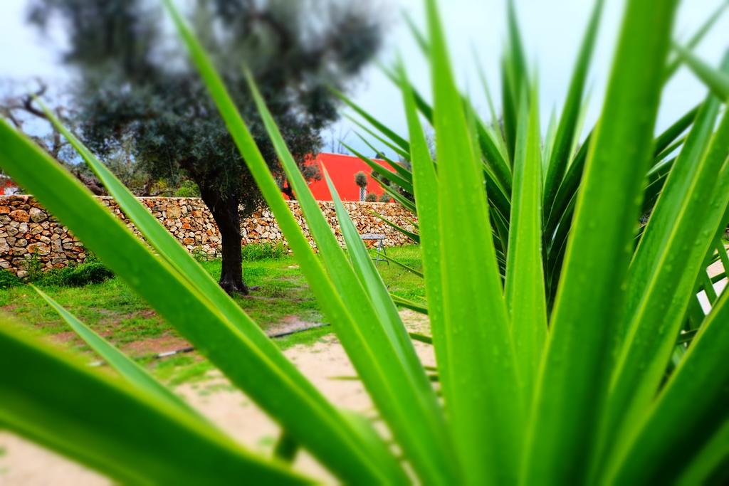 Oasi San Pio Apartman Porto Cesareo Kültér fotó