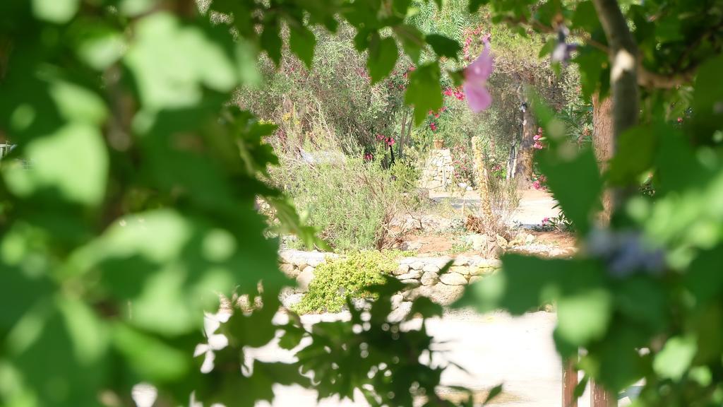 Oasi San Pio Apartman Porto Cesareo Kültér fotó