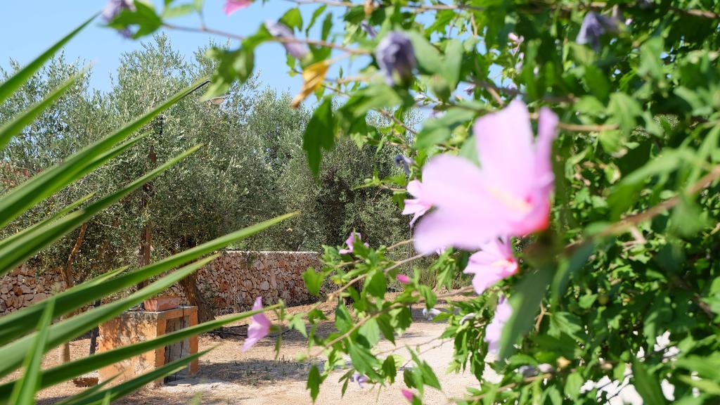 Oasi San Pio Apartman Porto Cesareo Kültér fotó