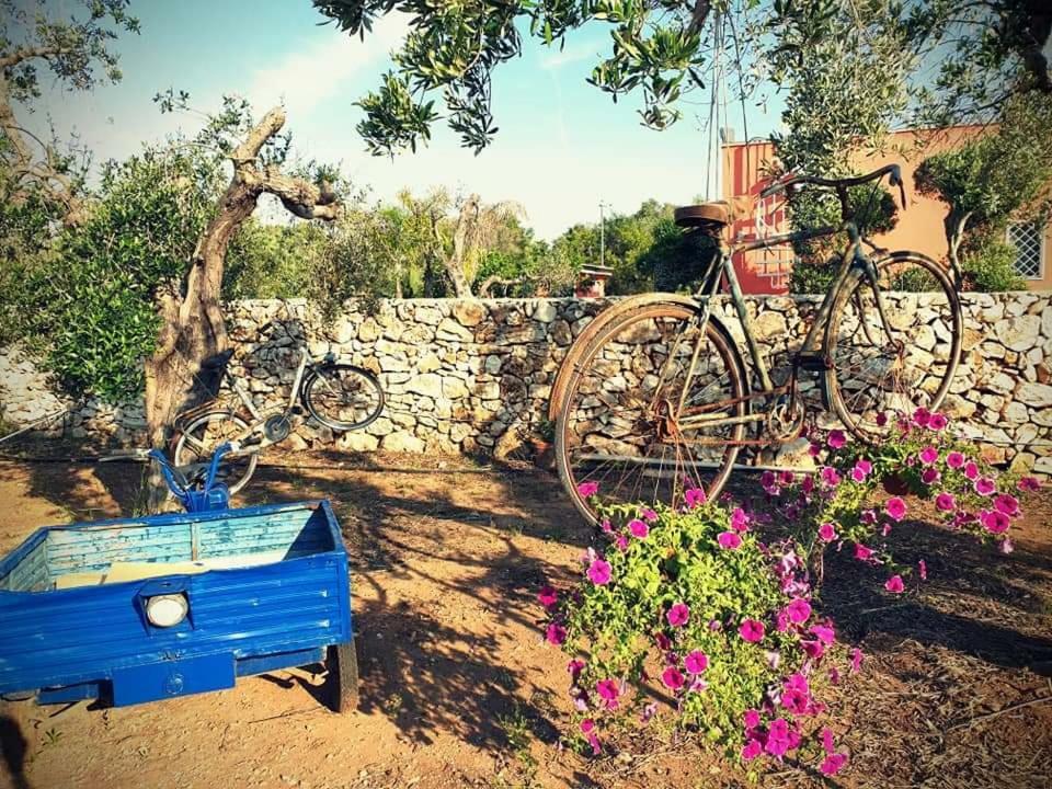 Oasi San Pio Apartman Porto Cesareo Kültér fotó