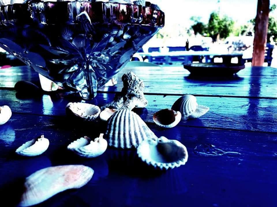 Oasi San Pio Apartman Porto Cesareo Kültér fotó